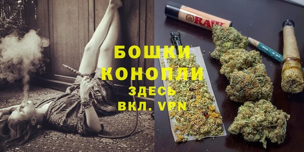 дурь Верея