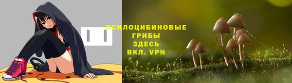 дурь Верхний Тагил